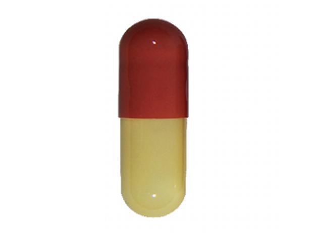 Cenmox (Amoxicillin)